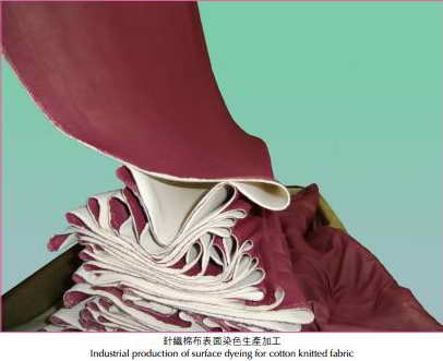 201561993848498.jpg