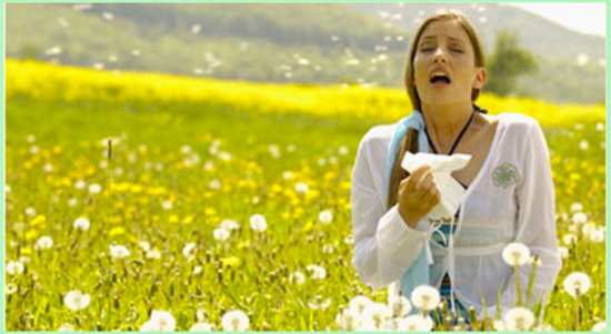 生存至上自强不