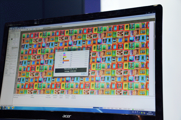 春夏面辅料博览会